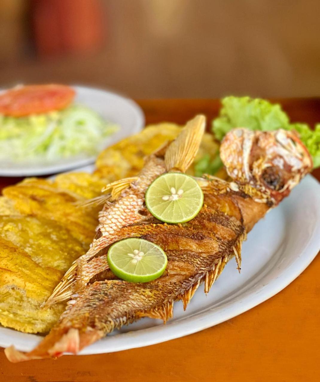 Arca Tayrona Restaurant & Hostal Los Naranjos Exterior photo